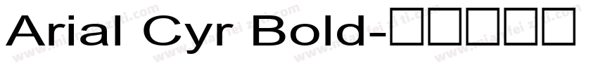 Arial Cyr Bold字体转换
